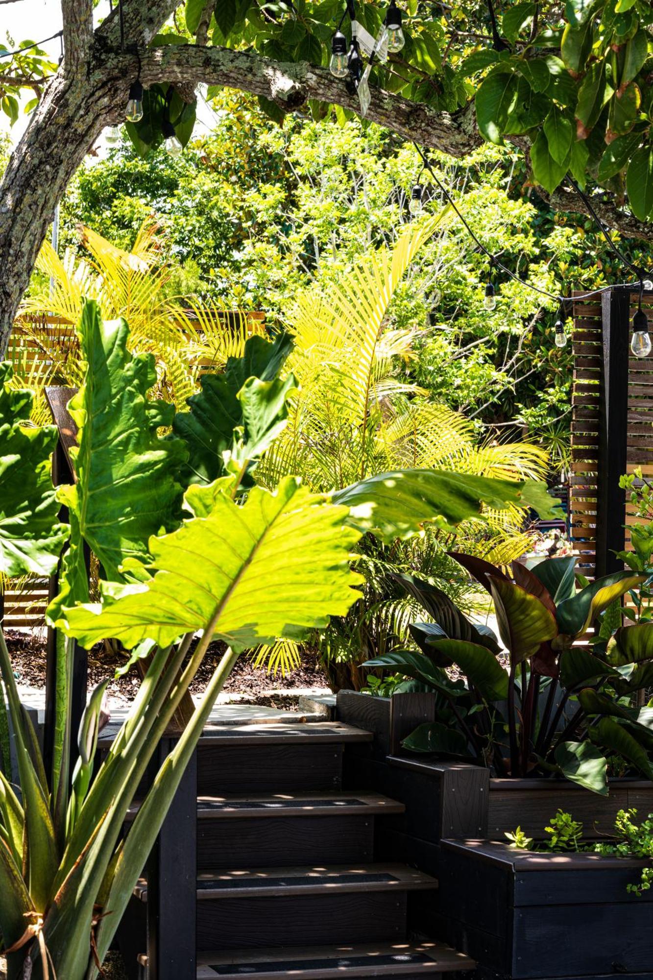 Shares Courtyard Luxury Apt - New! Rockledge Exterior photo
